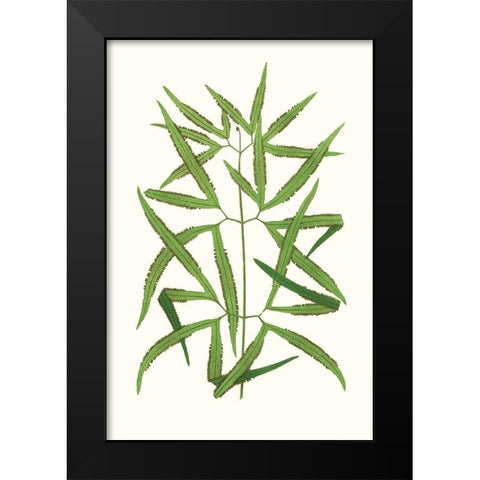 Collected Leaves XII Black Modern Wood Framed Art Print by Vision Studio
