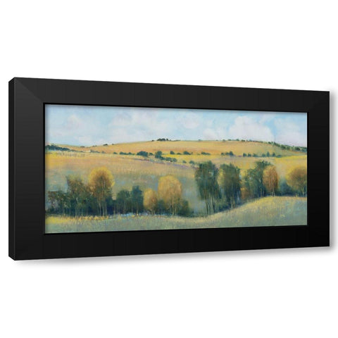 Valley Field I Black Modern Wood Framed Art Print with Double Matting by OToole, Tim