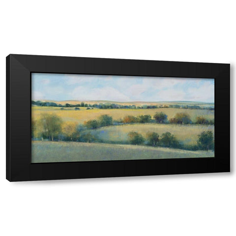 Valley Field II Black Modern Wood Framed Art Print by OToole, Tim