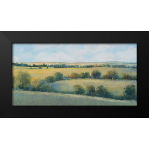 Valley Field II Black Modern Wood Framed Art Print by OToole, Tim