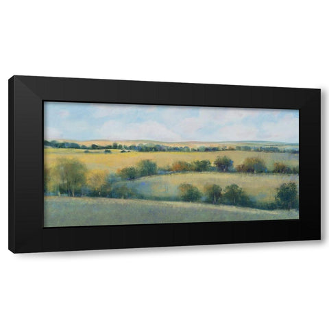 Valley Field II Black Modern Wood Framed Art Print with Double Matting by OToole, Tim