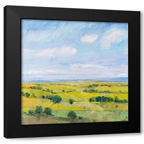 Picturesque View II Black Modern Wood Framed Art Print by OToole, Tim