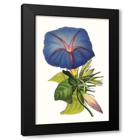 Paxton Florals I Black Modern Wood Framed Art Print by Paxton