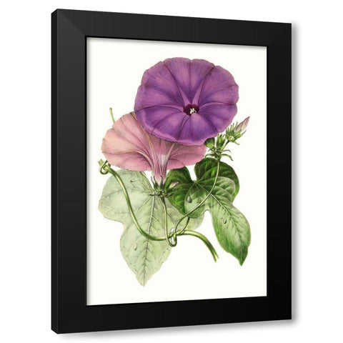 Paxton Florals III Black Modern Wood Framed Art Print with Double Matting by Paxton