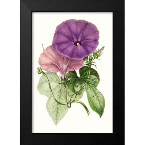 Paxton Florals III Black Modern Wood Framed Art Print by Paxton