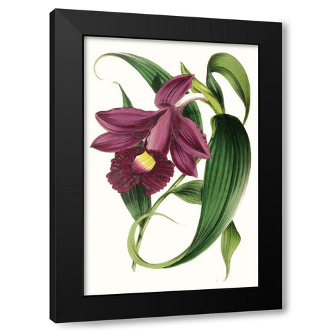 Paxton Florals V Black Modern Wood Framed Art Print by Paxton