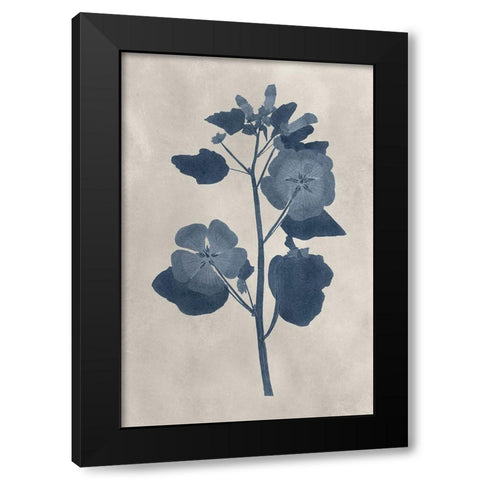 Navy Pressed Flowers V Black Modern Wood Framed Art Print with Double Matting by Vision Studio