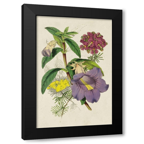 Paxton Botanical Pairing I Black Modern Wood Framed Art Print by Paxton