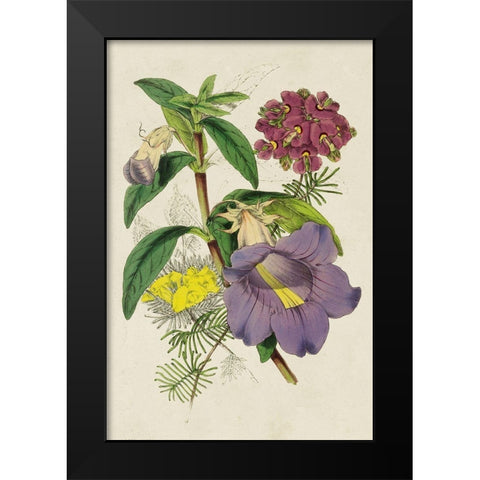Paxton Botanical Pairing I Black Modern Wood Framed Art Print by Paxton