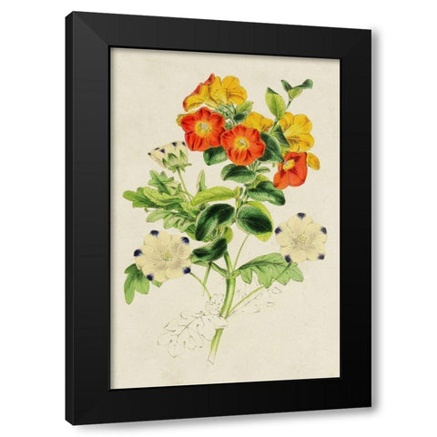 Paxton Botanical Pairing II Black Modern Wood Framed Art Print by Paxton