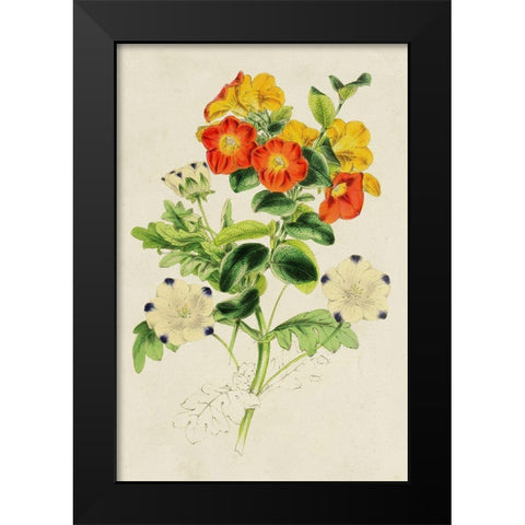 Paxton Botanical Pairing II Black Modern Wood Framed Art Print by Paxton