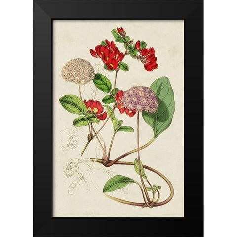 Paxton Botanical Pairing III Black Modern Wood Framed Art Print by Paxton