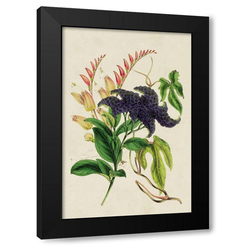Paxton Botanical Pairing IV Black Modern Wood Framed Art Print by Paxton