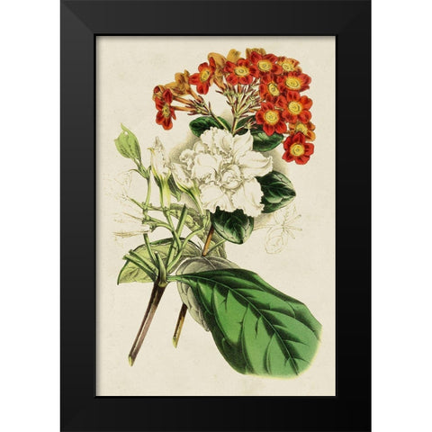 Paxton Botanical Pairing V Black Modern Wood Framed Art Print by Paxton