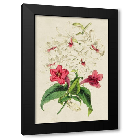 Paxton Botanical Pairing VI Black Modern Wood Framed Art Print by Paxton