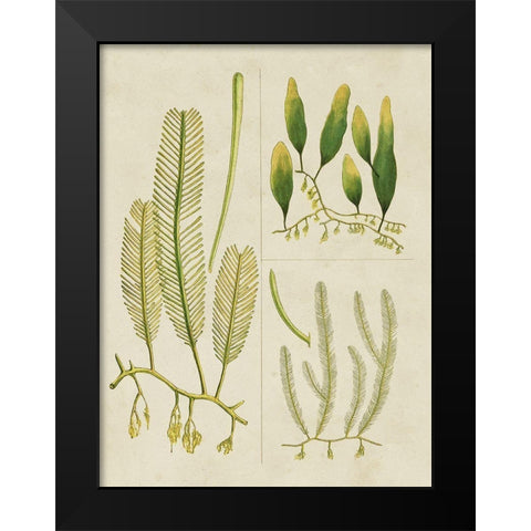 Vintage Sea Grass I Black Modern Wood Framed Art Print by Vision Studio