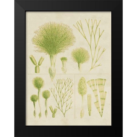 Vintage Sea Grass III Black Modern Wood Framed Art Print by Vision Studio