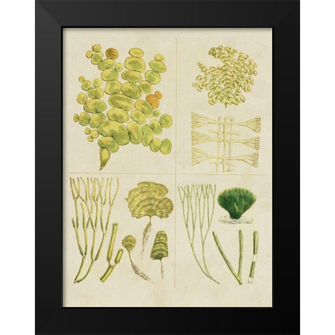 Vintage Sea Grass IV Black Modern Wood Framed Art Print by Vision Studio