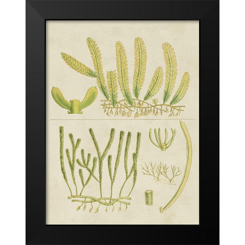 Vintage Sea Grass V Black Modern Wood Framed Art Print by Vision Studio