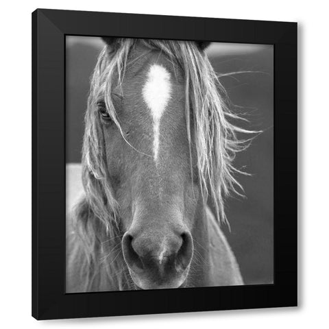 Close Up Black Modern Wood Framed Art Print with Double Matting by Linden, Sally