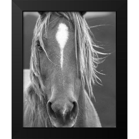 Close Up Black Modern Wood Framed Art Print by Linden, Sally