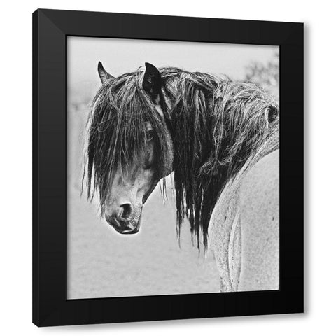 Freedom Black Modern Wood Framed Art Print by Linden, Sally
