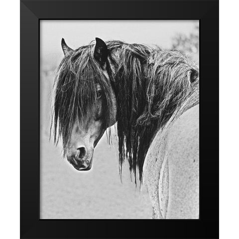 Freedom Black Modern Wood Framed Art Print by Linden, Sally