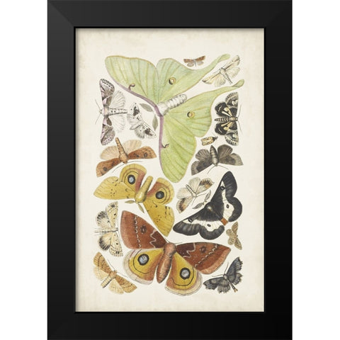 Antique Moths I Black Modern Wood Framed Art Print by Unknown
