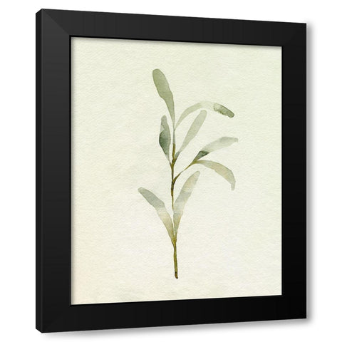 Olive Leaves I Black Modern Wood Framed Art Print by Caroline, Emma