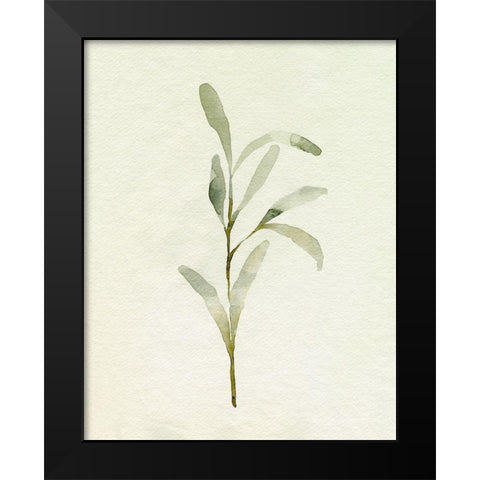Olive Leaves I Black Modern Wood Framed Art Print by Caroline, Emma