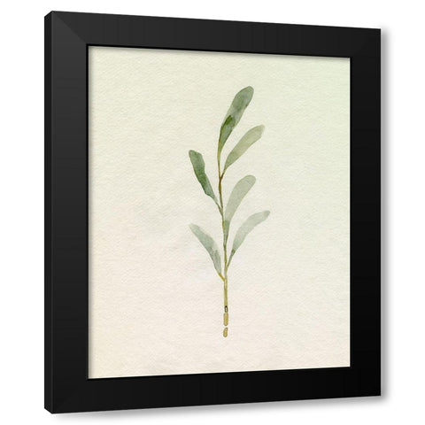 Olive Leaves II Black Modern Wood Framed Art Print by Caroline, Emma