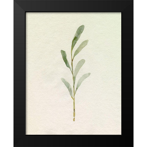 Olive Leaves II Black Modern Wood Framed Art Print by Caroline, Emma