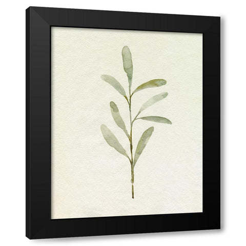 Olive Leaves III Black Modern Wood Framed Art Print with Double Matting by Caroline, Emma
