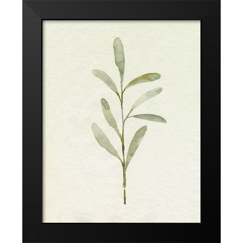 Olive Leaves III Black Modern Wood Framed Art Print by Caroline, Emma