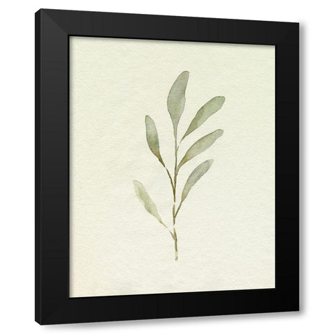 Olive Leaves IV Black Modern Wood Framed Art Print by Caroline, Emma