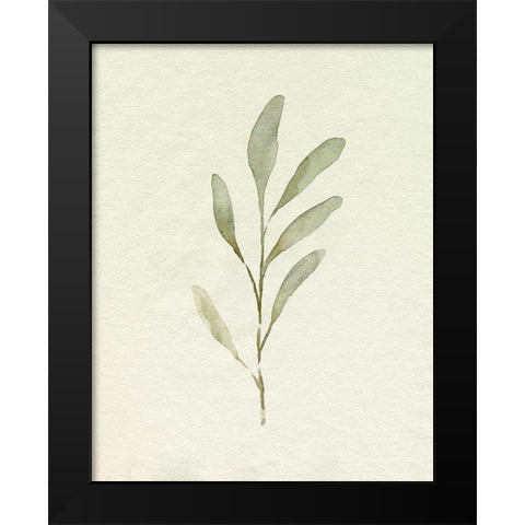 Olive Leaves IV Black Modern Wood Framed Art Print by Caroline, Emma