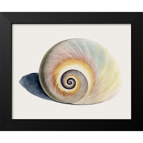 Spiraling I Black Modern Wood Framed Art Print by Popp, Grace