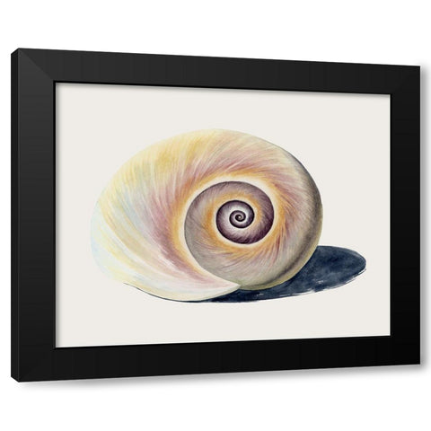 Spiraling II Black Modern Wood Framed Art Print with Double Matting by Popp, Grace