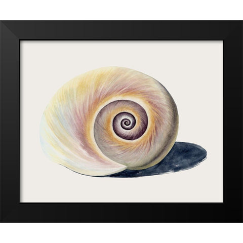 Spiraling II Black Modern Wood Framed Art Print by Popp, Grace