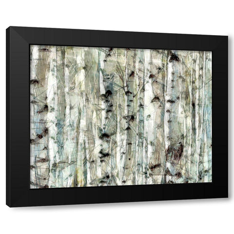 Birch Bunch II Black Modern Wood Framed Art Print by Saunders, Alonzo