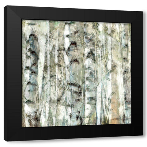 Birch Bunch III Black Modern Wood Framed Art Print by Saunders, Alonzo