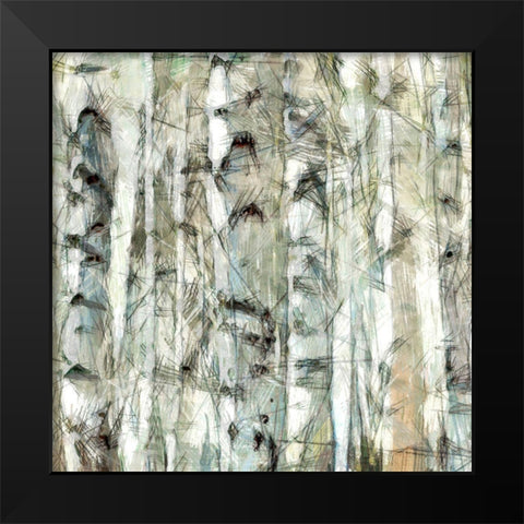 Birch Bunch III Black Modern Wood Framed Art Print by Saunders, Alonzo