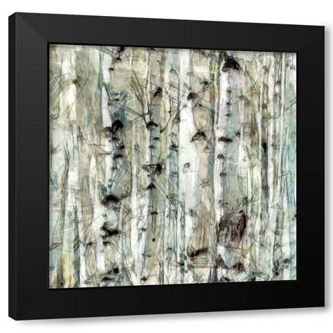 Birch Bunch IV Black Modern Wood Framed Art Print by Saunders, Alonzo
