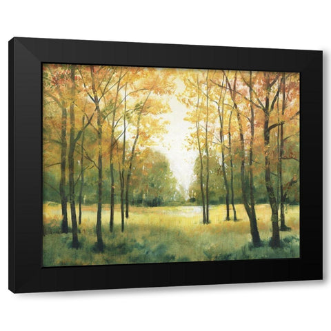 Fall Retreat I Black Modern Wood Framed Art Print with Double Matting by OToole, Tim