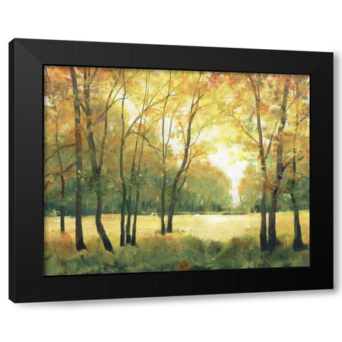 Fall Retreat II Black Modern Wood Framed Art Print by OToole, Tim