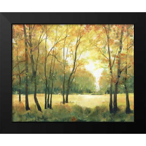 Fall Retreat II Black Modern Wood Framed Art Print by OToole, Tim