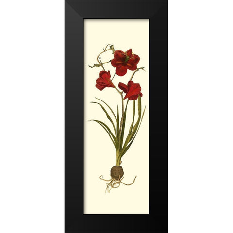 Custom Amaryllis Panel I Black Modern Wood Framed Art Print by Vision Studio