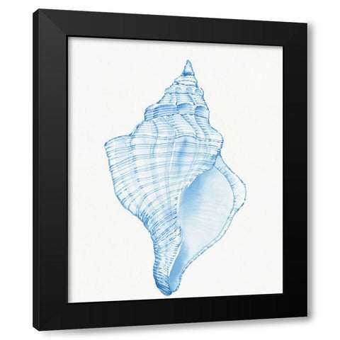 Blue Shell I Black Modern Wood Framed Art Print with Double Matting by OToole, Tim