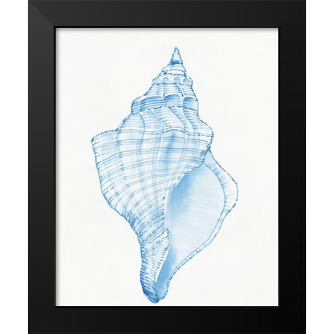 Blue Shell I Black Modern Wood Framed Art Print by OToole, Tim