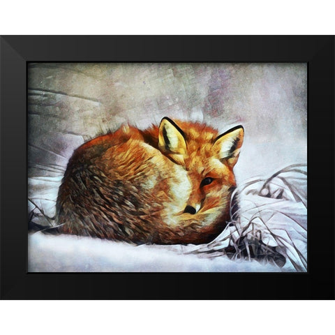 Red Fox Curl Up Black Modern Wood Framed Art Print by Aldridge, Ashley